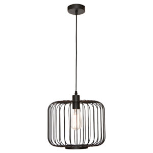Cougar Lighting Bonn 1LT Pendant Light in Black COU-BONN1PBLK