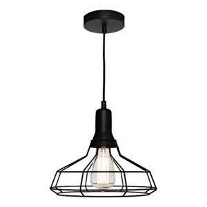 Cougar Lighting Cage 1LT Medium Pendant Light in Black COU-CAGE1PMED