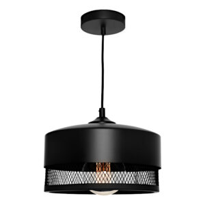 Cougar Lighting Galahad 1LT Medium Pendant Light in Black COU-GALA1PMED