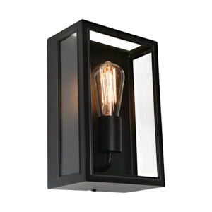 Cougar Lighting Harvard 1LT Wall Light in Black COU-HARV1EBLK