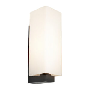 Cougar Lighting Ramon 1LT Wall Light in Black COU-RAMO1WBLK