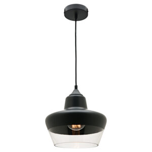Cougar Lighting Stout 1LT Pendant Light in Black COU-STOU1P