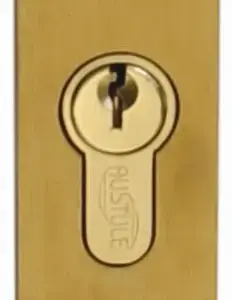 Superior Brass Euro Escutcheon Rectangle Concealed Satin Brass 70x30mm SUP93724